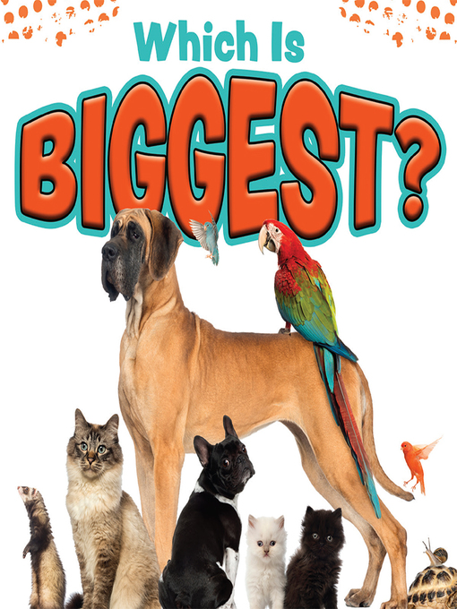 Title details for Which Is Biggest? by Miranda Kelly - Available